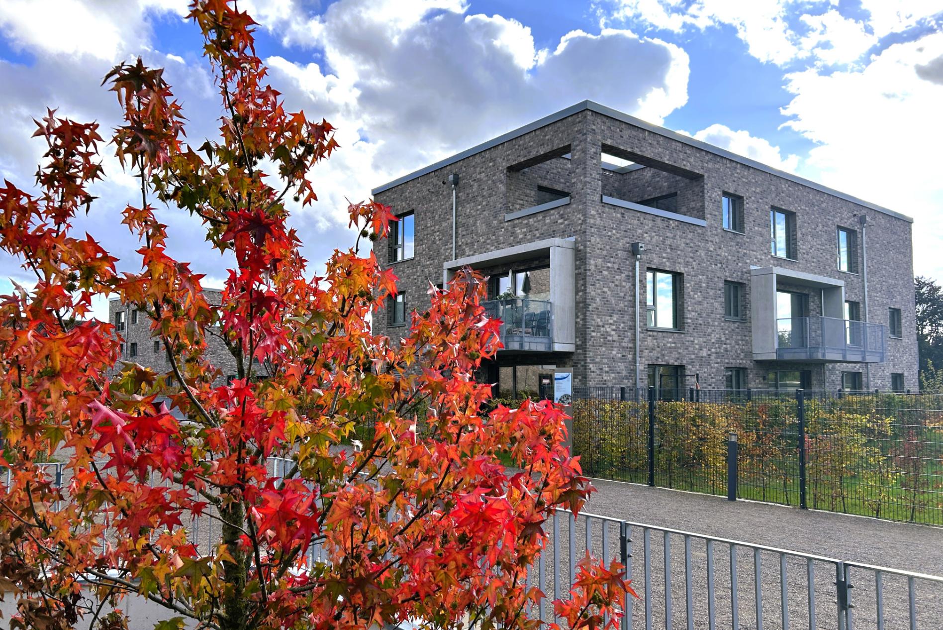 Immobilie Nr.2.16 | Zum Dammfelde 41 a, 50859 Köln - Widdersdorf 